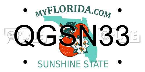 QGSN33 Florida License Plate