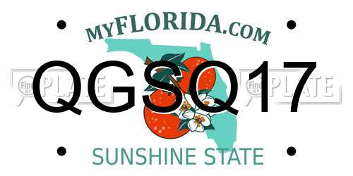 QGSQ17 Florida License Plate