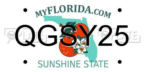 QGSY25 Florida License Plate