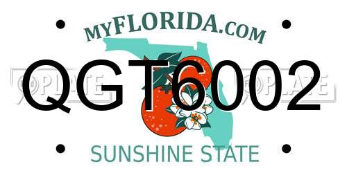 QGT6002 Florida License Plate