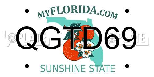 QGTD69 Florida License Plate