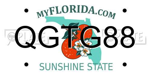 QGTG88 Florida License Plate