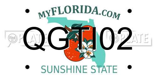 QGTI02 Florida License Plate