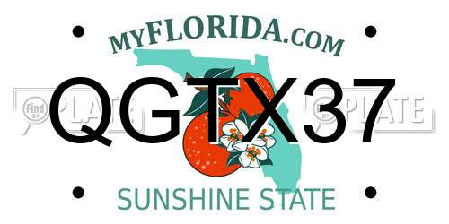 QGTX37 Florida License Plate