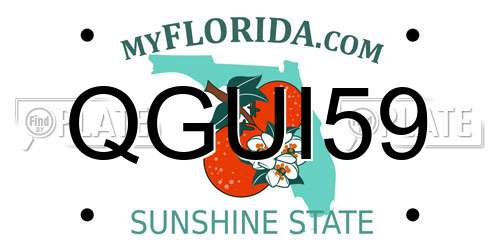 QGUI59 Florida License Plate