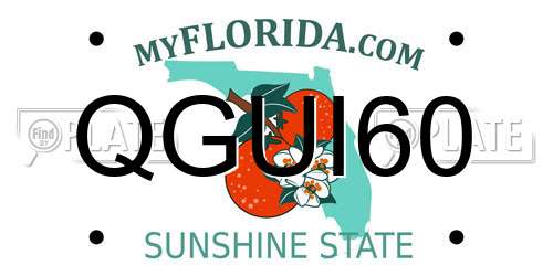 QGUI60 Florida License Plate