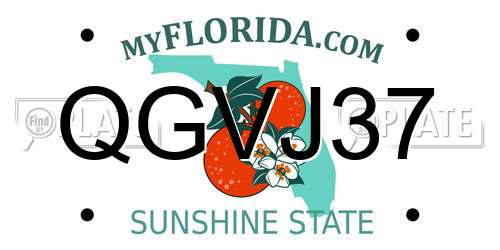 QGVJ37 Florida License Plate