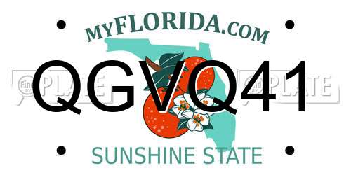QGVQ41 Florida License Plate