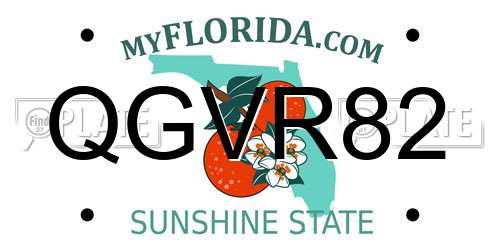 QGVR82 Florida License Plate