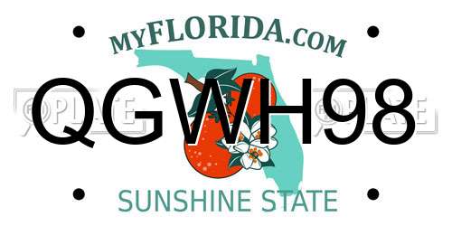 QGWH98 Florida License Plate