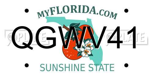 QGWV41 Florida License Plate