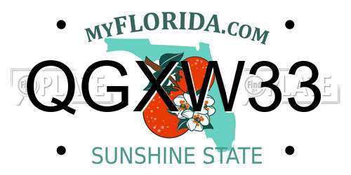 QGXW33 Florida License Plate