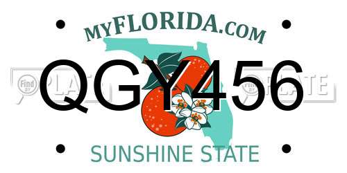 QGY456 Florida License Plate