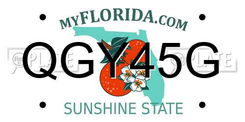QGY45G Florida License Plate