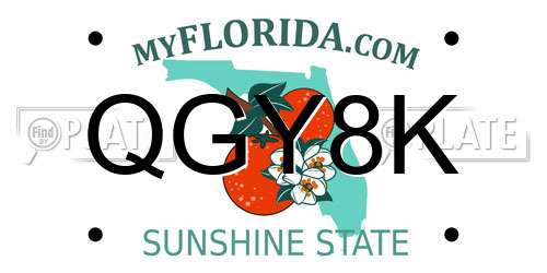QGY8K Florida License Plate
