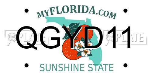 QGYD11 Florida License Plate