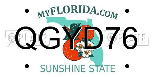 QGYD76 Florida License Plate