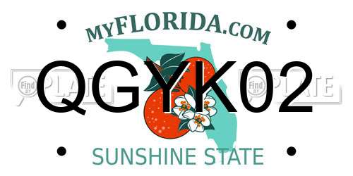 QGYK02 Florida License Plate