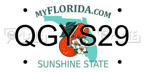 QGYS29 Florida License Plate