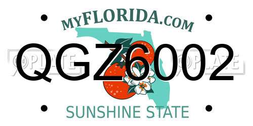 QGZ6002 Florida License Plate
