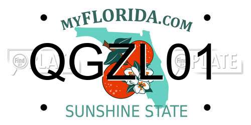 QGZL01 Florida License Plate