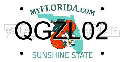 QGZL02 Florida License Plate