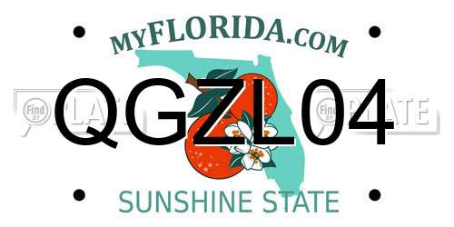 QGZL04 Florida License Plate