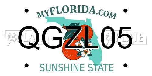 QGZL05 Florida License Plate