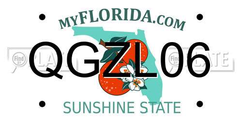 QGZL06 Florida License Plate