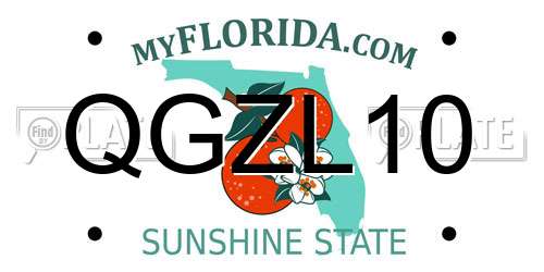 QGZL10 Florida License Plate
