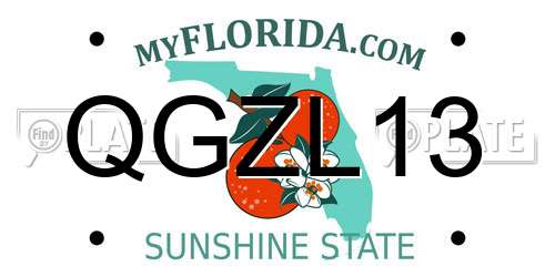 QGZL13 Florida License Plate
