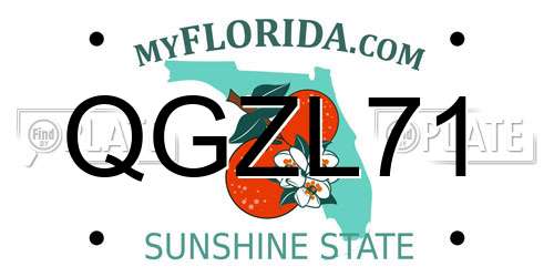 QGZL71 Florida License Plate