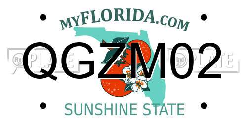 QGZM02 Florida License Plate