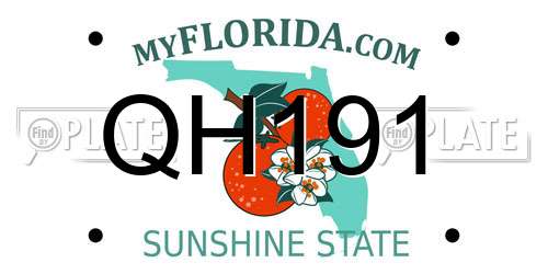 QH191 Florida License Plate