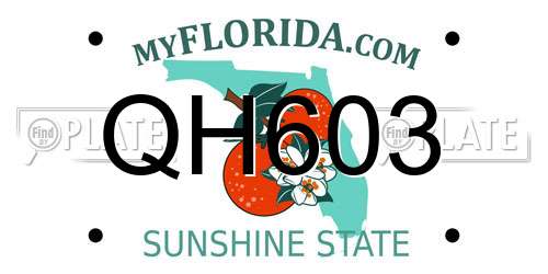 QH603 Florida License Plate
