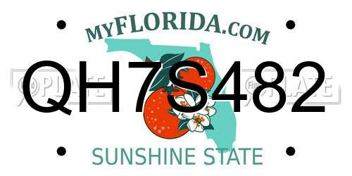 QH7S482 Florida License Plate