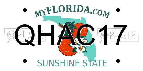 QHAC17 Florida License Plate