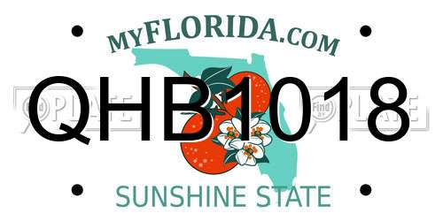 QHB1018 Florida License Plate