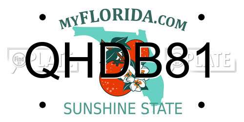 QHDB81 Florida License Plate