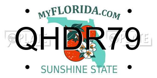 QHDR79 Florida License Plate