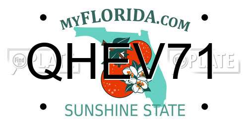 QHEV71 Florida License Plate