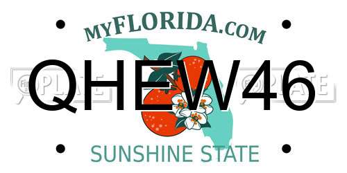 QHEW46 Florida License Plate