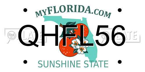 QHFL56 Florida License Plate