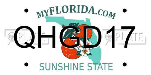 QHGD17 Florida License Plate
