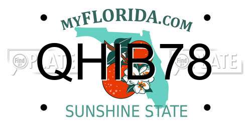 QHIB78 Florida License Plate