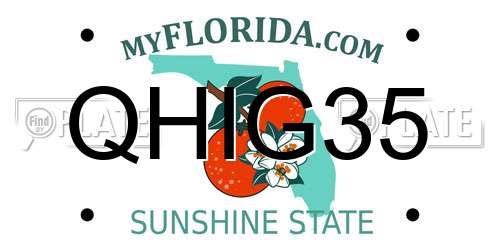 QHIG35 Florida License Plate