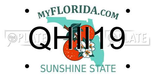 QHII19 Florida License Plate