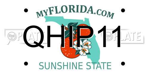 QHIP11 Florida License Plate