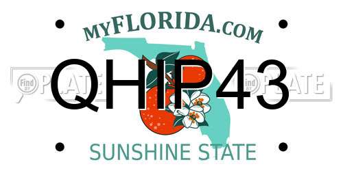 QHIP43 Florida License Plate