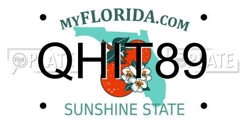 QHIT89 Florida License Plate